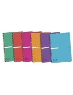 BLOCK ENRI STATUS PP Fº 80h CD.4 COL.(6)